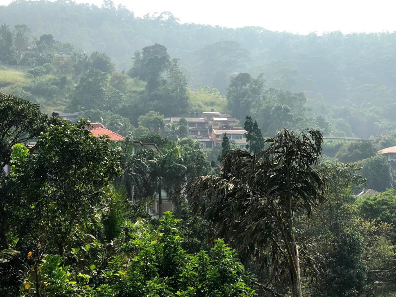 Cloud Inn Kandy Homestay Экстерьер фото